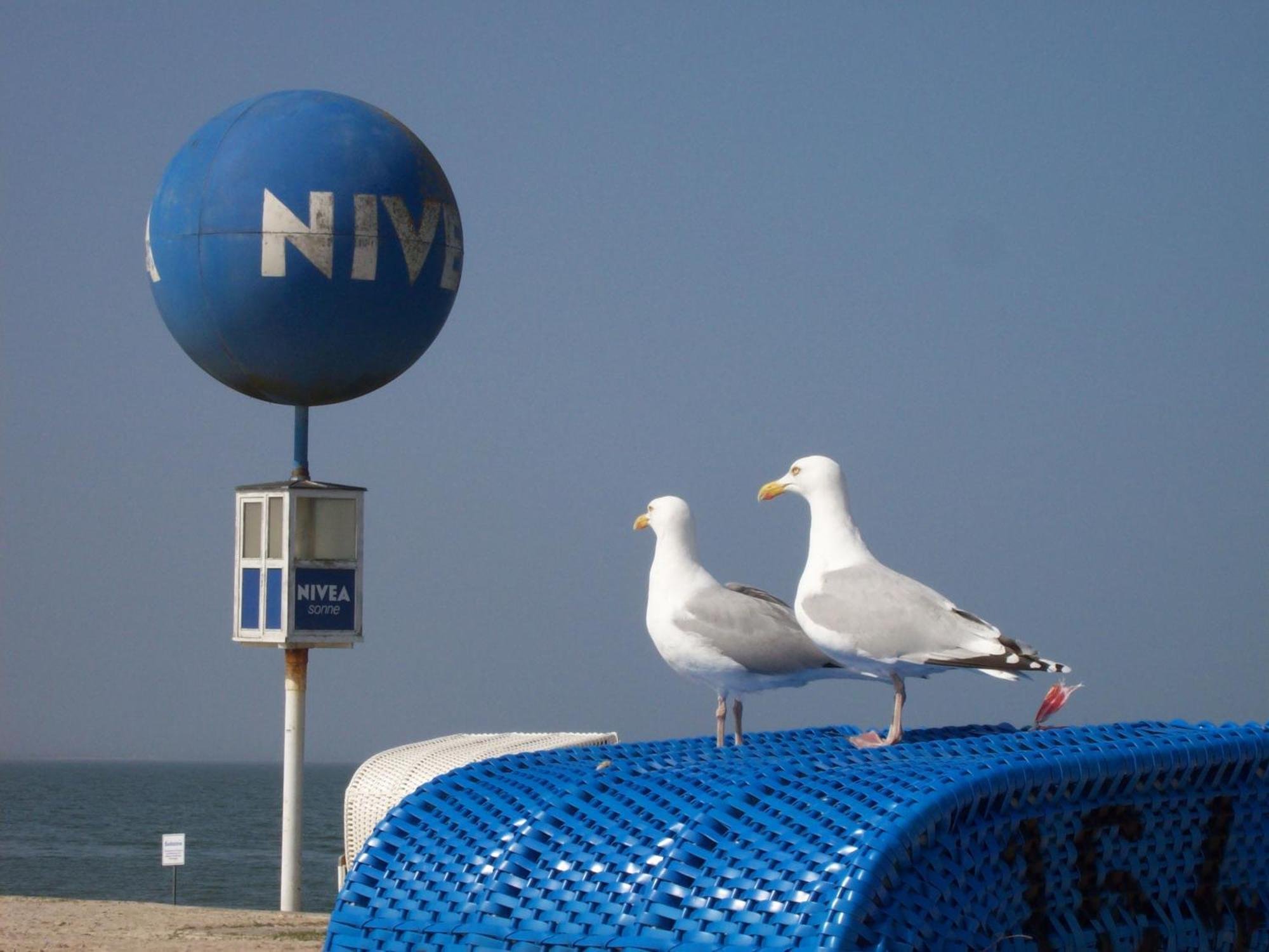 Regina An Der Nordsee No 5 Dornumersiel